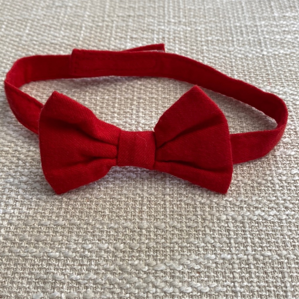 Baby bowtie